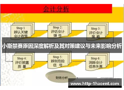 小斯禁赛原因深度解析及其对策建议与未来影响分析