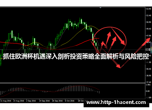 抓住欧洲杯机遇深入剖析投资策略全面解析与风险把控